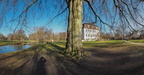 Branitz Park Buche Schloss Pano 2015